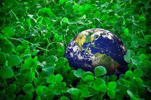 太平洋證券：2026年夯實4000點基礎慢牛可期